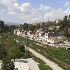 Distinción Especial al Promotor